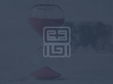 人是怎麼廢掉的？